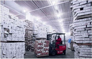 上海到浙江冷鏈物流公司上海到浙江冷鏈?zhǔn)称坟涍\(yùn)專線找價