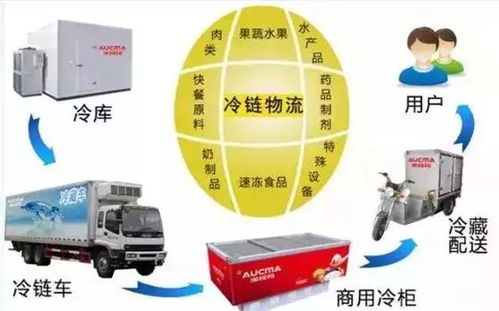 冷鏈物流 突破瓶頸、抓住機遇，推動普通貨運轉型升級